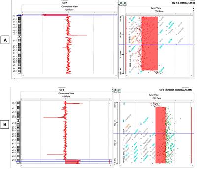 Case report: 7p22.3 deletion and 8q24.3 duplication in a patient with epilepsy and psychomotor delay—Does both possibly act to modulate a candidate gene region for the patient’s phenotype?